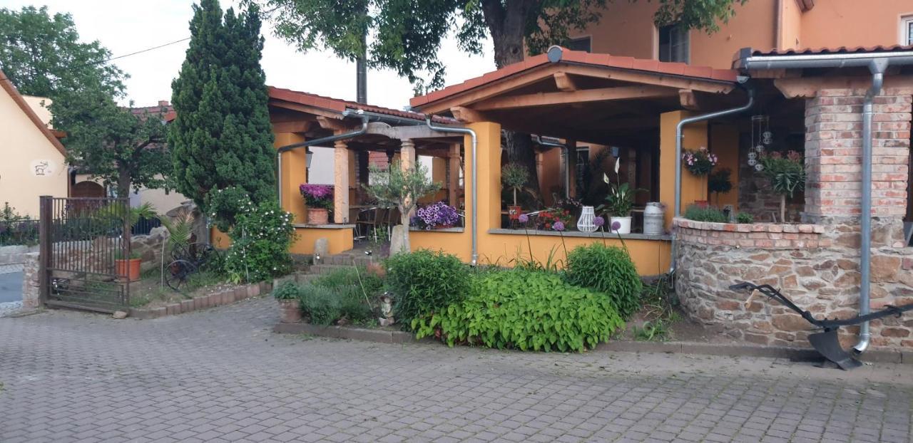 Hotel Und Pension Al Dente Nunchritz Exterior photo